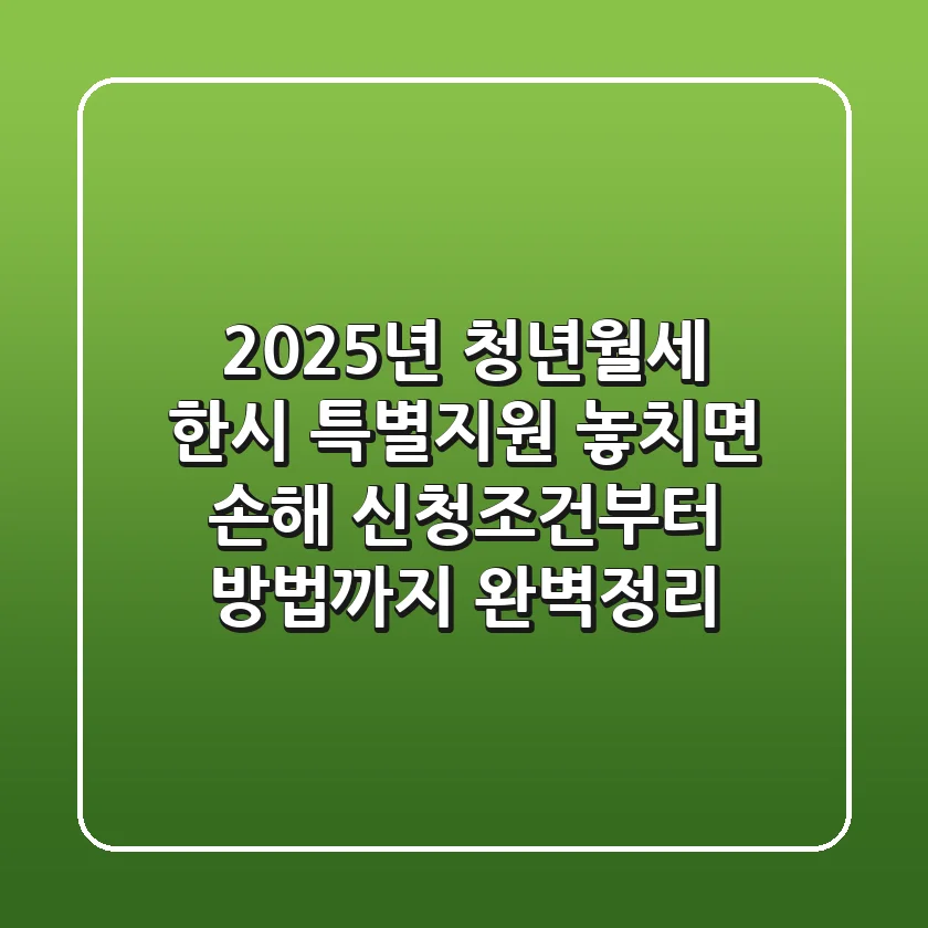 2025년 청년월세 한시 특별지원 놓치면 손해 신청조건부터 방법까지 완벽정리