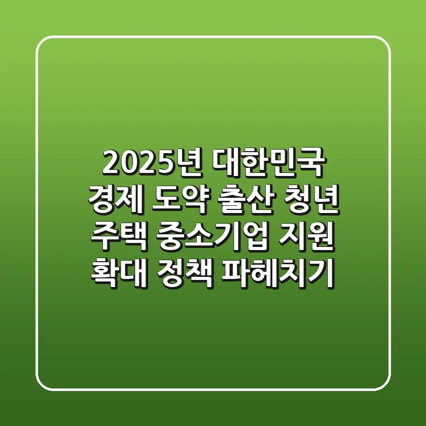 2025년 대한민국 경제 도약 출산 청년 주택 중소기업 지원 확대 정책 파헤치기