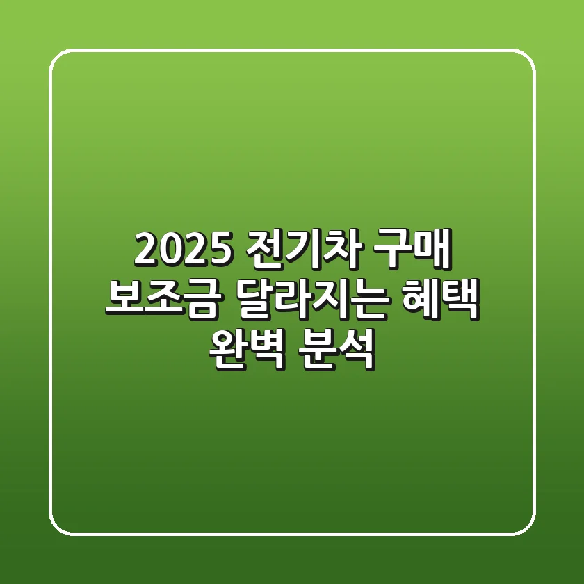 2025 전기차 구매 보조금: 달라지는 혜택 완벽 분석!