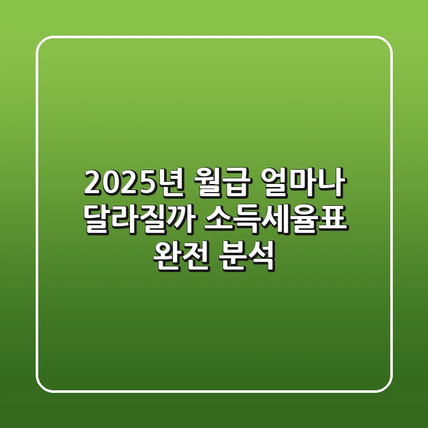 2025년 월급, 얼마나 달라질까? 소득세율표 완전 분석!