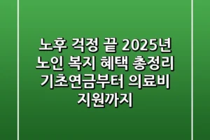 노후 걱정 끝 2025년 노인 복지 혜택 총정리 기초연금부터 의료비 지원까지