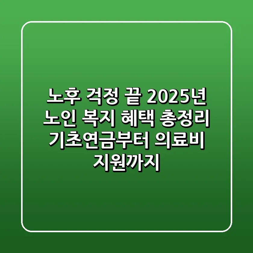 노후 걱정 끝 2025년 노인 복지 혜택 총정리 기초연금부터 의료비 지원까지