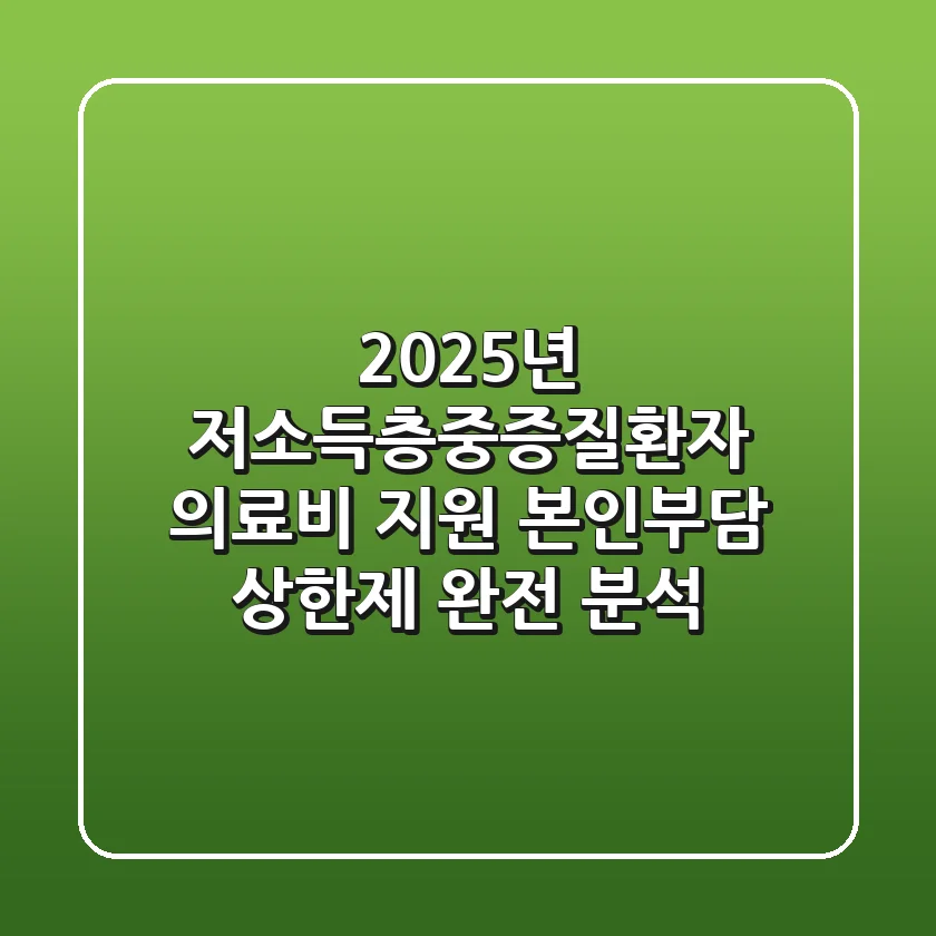 2025년 저소득층·중증질환자 의료비 지원, 본인부담 상한제 완전 분석!