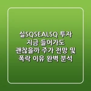 실SQ(SEALSQ) 투자, 지금 들어가도 괜찮을까? 주가 전망 및 폭락 이유 완벽 분석!