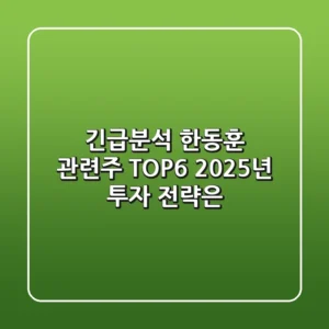 긴급분석! 한동훈 관련주 TOP6, 2025년 투자 전략은?