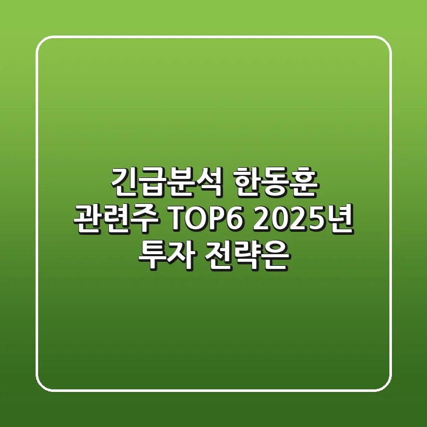긴급분석! 한동훈 관련주 TOP6, 2025년 투자 전략은?
