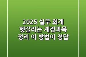 2025 실무 회계: 헷갈리는 계정과목 정리, 이 방법이 정답!