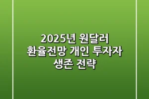2025년 원달러 환율전망, 개인 투자자 생존 전략