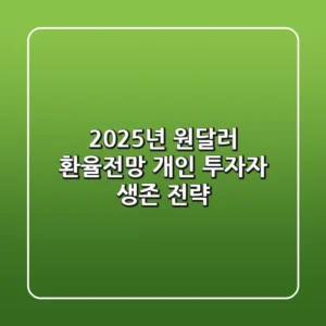 2025년 원달러 환율전망, 개인 투자자 생존 전략