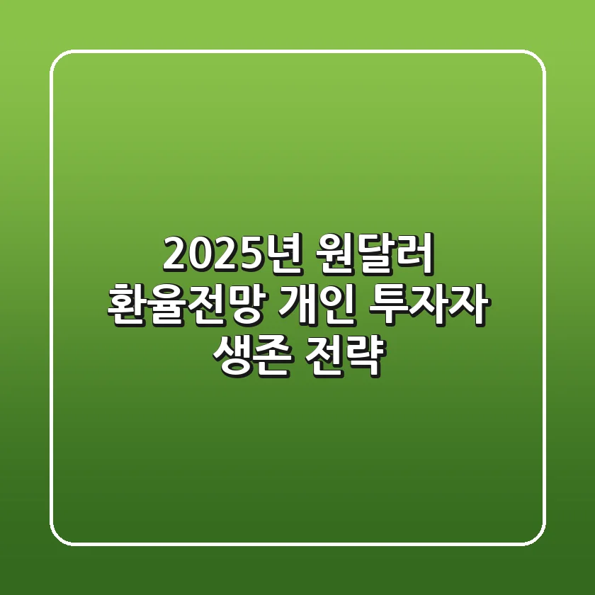 2025년 원달러 환율전망, 개인 투자자 생존 전략