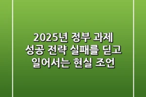 2025년 정부 과제 성공 전략: 실패를 딛고 일어서는 현실 조언