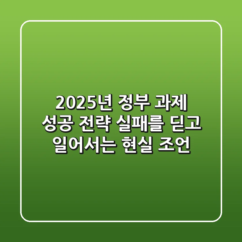2025년 정부 과제 성공 전략: 실패를 딛고 일어서는 현실 조언