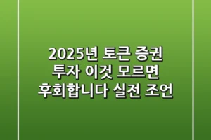 2025년 토큰 증권 투자, 이것 모르면 후회합니다 (실전 조언)
