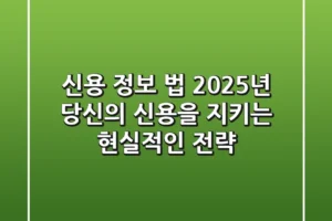 신용 정보 법, 2025년 당신의 신용을 지키는 현실적인 전략