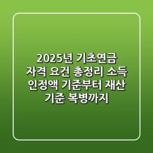 2025년 기초연금 자격 요건 '총정리', 소득 인정액 기준부터 재산 기준 '복병'까지