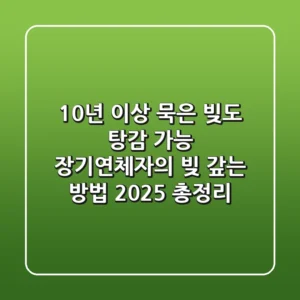 "10년 이상 묵은 빚도 탕감 가능?", 장기연체자의 빚 갚는 방법 2025 총정리