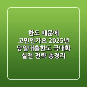 "한도 때문에 고민인가요?", 2025년 당일대출한도 극대화 실전 전략 총정리