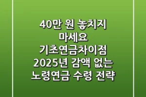 “40만 원 놓치지 마세요!”, 기초연금차이점, 2025년 감액 없는 노령연금 수령 전략