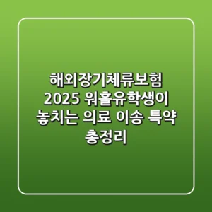 "해외장기체류보험 2025": 워홀·유학생이 놓치는 '의료 이송 특약' 총정리
