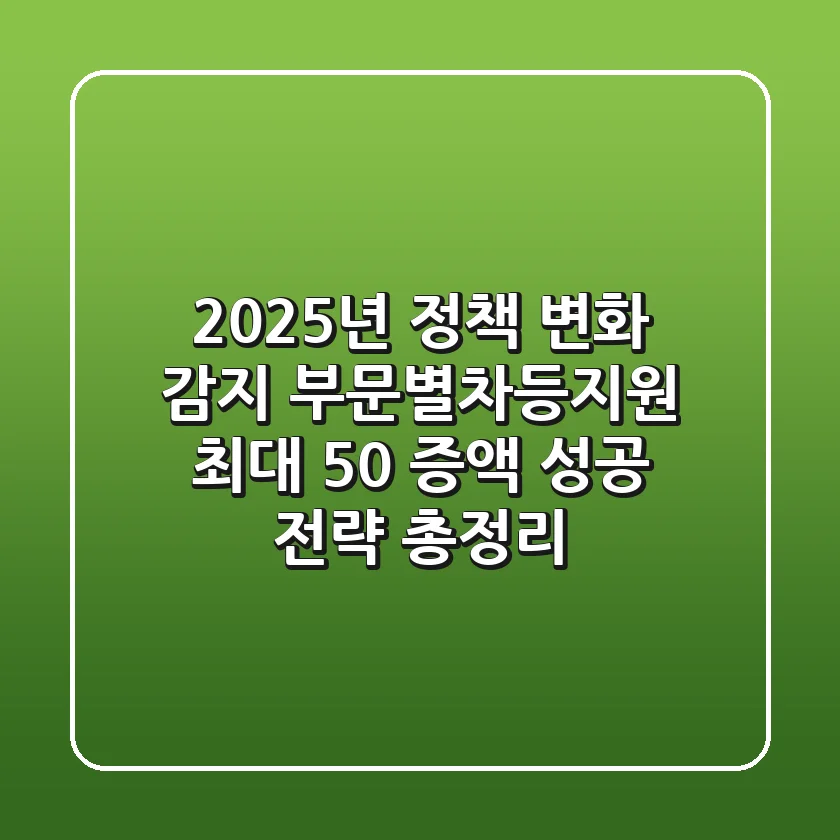 "2025년 정책 변화 감지", 부문별차등지원 최대 50% 증액 성공 전략 총정리