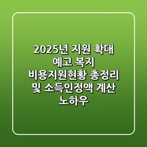 "2025년 지원 확대 예고", 복지 비용지원현황 총정리 및 소득인정액 계산 노하우