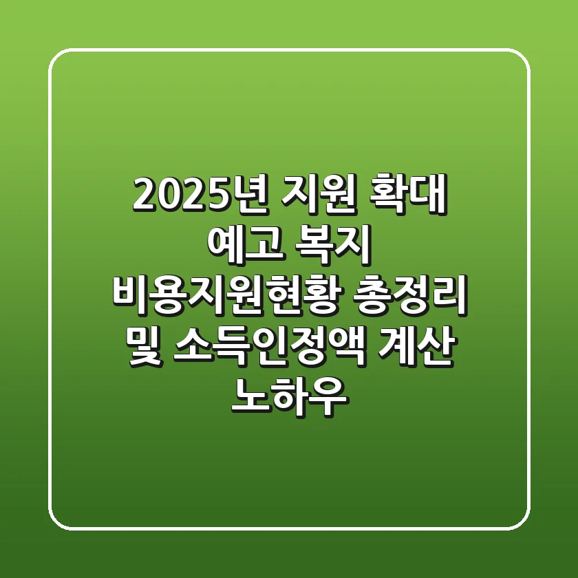 "2025년 지원 확대 예고", 복지 비용지원현황 총정리 및 소득인정액 계산 노하우