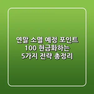 "연말 소멸 예정 포인트, 100% 현금화하는 5가지 전략 총정리"