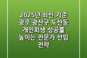 “2025년 최신 기준”, 광주 광산구 도산동 개인회생 성공률 높이는 전문가 선임 전략