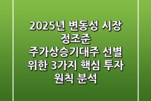 “2025년, 변동성 시장 정조준”, 주가상승기대주 선별 위한 3가지 핵심 투자 원칙 분석