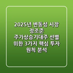 "2025년, 변동성 시장 정조준", 주가상승기대주 선별 위한 3가지 핵심 투자 원칙 분석