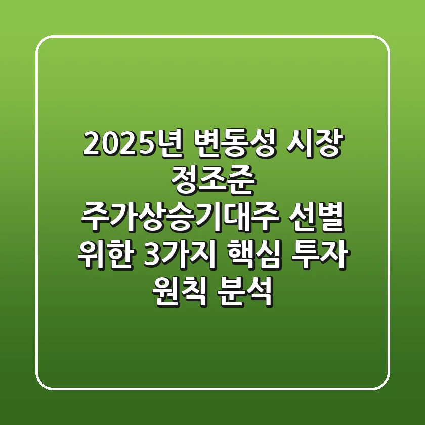 "2025년, 변동성 시장 정조준", 주가상승기대주 선별 위한 3가지 핵심 투자 원칙 분석