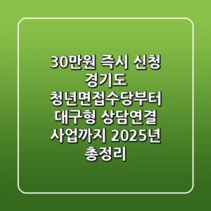 "30만원 즉시 신청", 경기도 청년면접수당부터 대구형 상담연결 사업까지 2025년 총정리