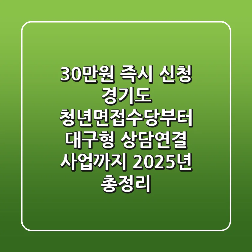 "30만원 즉시 신청", 경기도 청년면접수당부터 대구형 상담연결 사업까지 2025년 총정리