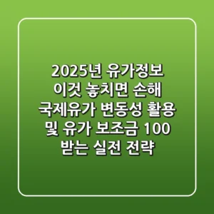 2025년 유가정보 '이것' 놓치면 손해", 국제유가 변동성 활용 및 유가 보조금 100% 받는 실전 전략