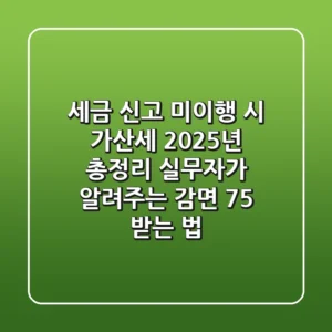 "세금 신고 미이행 시 가산세 2025년 총정리": 실무자가 알려주는 감면 75% 받는 법
