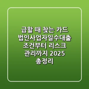 "급할 때 찾는 카드", 법인사업자일수대출 조건부터 리스크 관리까지 2025 총정리
