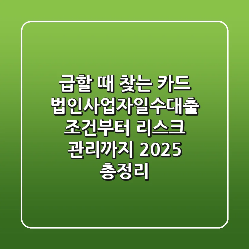 "급할 때 찾는 카드", 법인사업자일수대출 조건부터 리스크 관리까지 2025 총정리