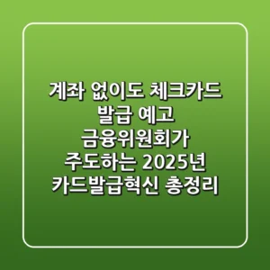 "계좌 없이도 체크카드 발급 예고", 금융위원회가 주도하는 2025년 카드발급혁신 총정리