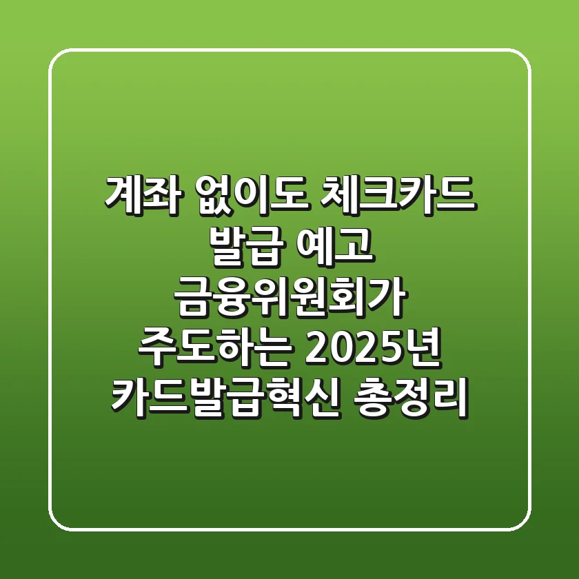 "계좌 없이도 체크카드 발급 예고", 금융위원회가 주도하는 2025년 카드발급혁신 총정리