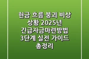 “현금 흐름 붕괴 비상 상황”, 2025년 긴급자금마련방법 3단계 실전 가이드 총정리