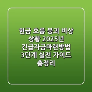 "현금 흐름 붕괴 비상 상황", 2025년 긴급자금마련방법 3단계 실전 가이드 총정리