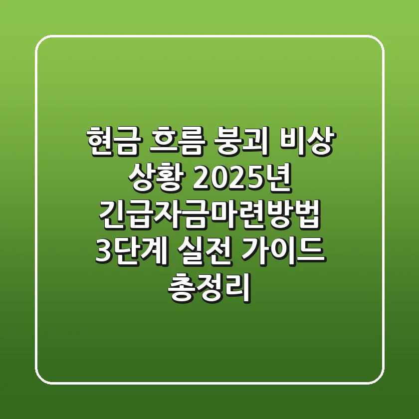 "현금 흐름 붕괴 비상 상황", 2025년 긴급자금마련방법 3단계 실전 가이드 총정리